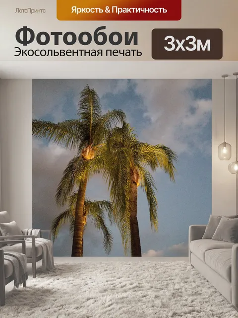 Фотообои Калифорнийские пальмовые деревья