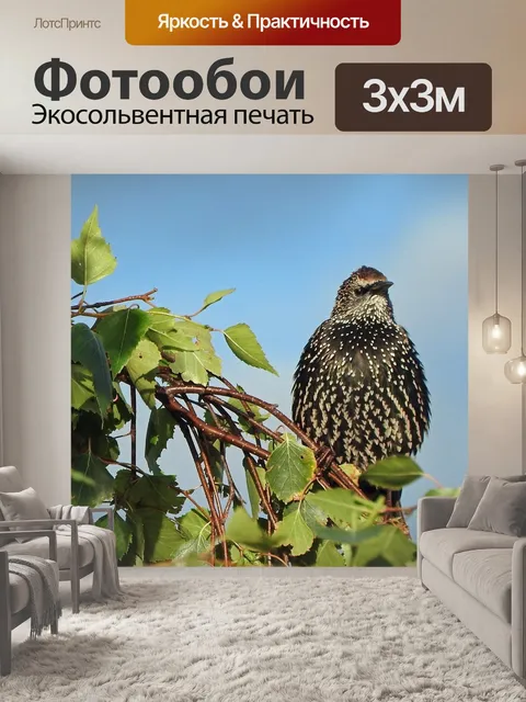 Фотообои Дерево