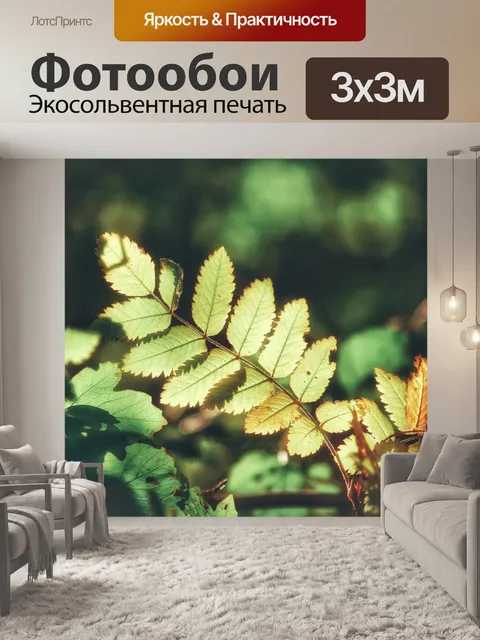 Фотообои Осень