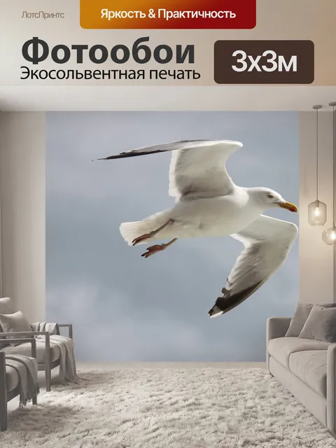 Фотообои Птица