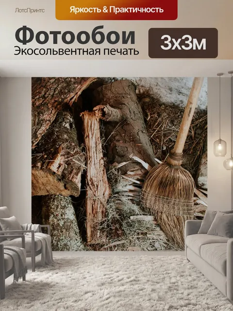 Фотообои Метла