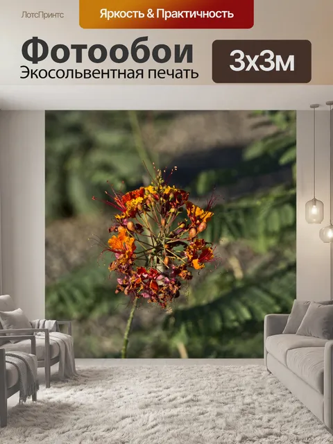 Фотообои Цветок