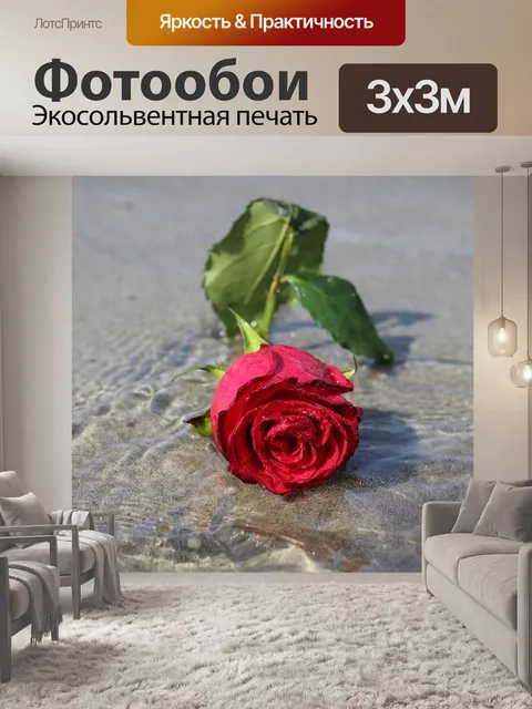 Фотообои Роза