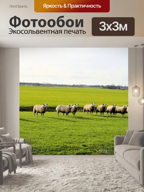 Фотообои общественного