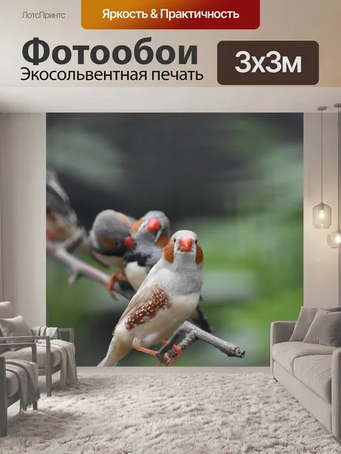 Фотообои Белый попугай