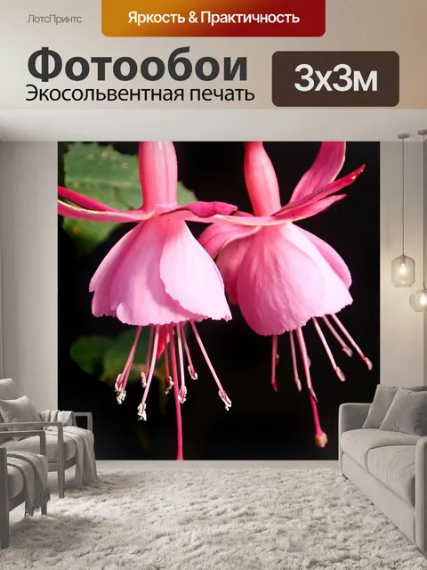 Фотообои Цветок