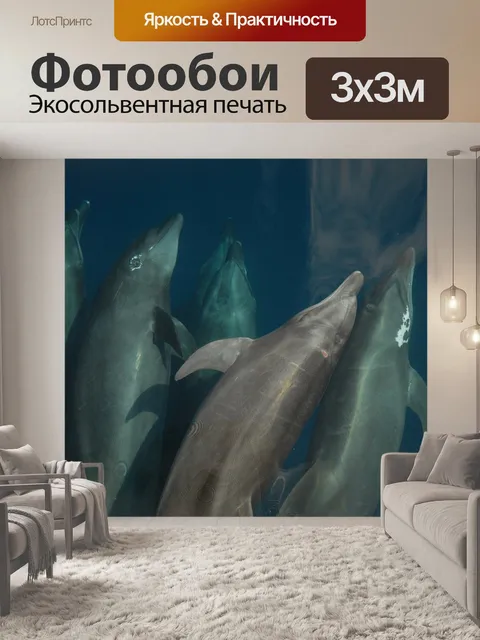 Фотообои Бутылконосый дельфин