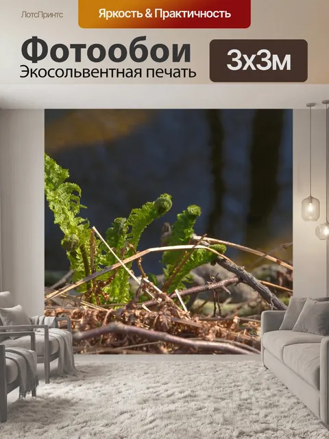 Фотообои Папоротник