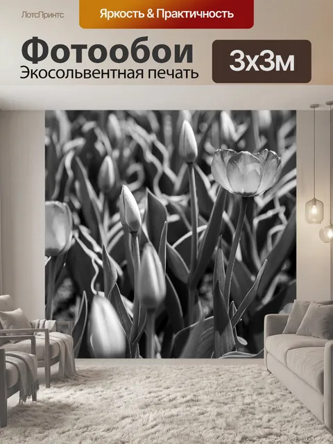 Фотообои Тюльпан