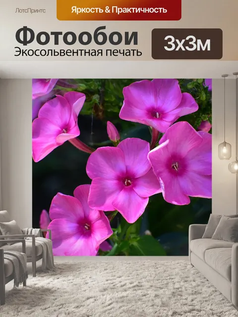 Фотообои Цветы