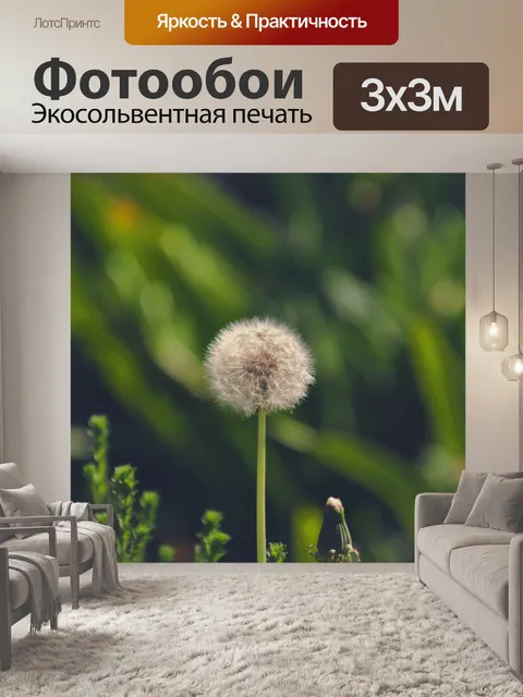 Фотообои Белый