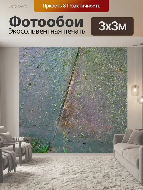 Фотообои зеленый мох площадь потерь воды