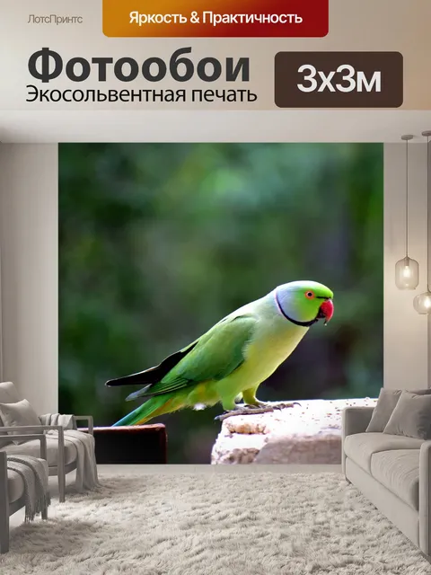 Фотообои Птица