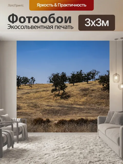 Фотообои Центральная Калифорния Пейзаж