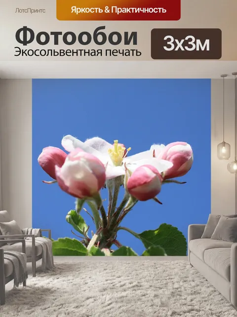Фотообои Яблоневый цвет
