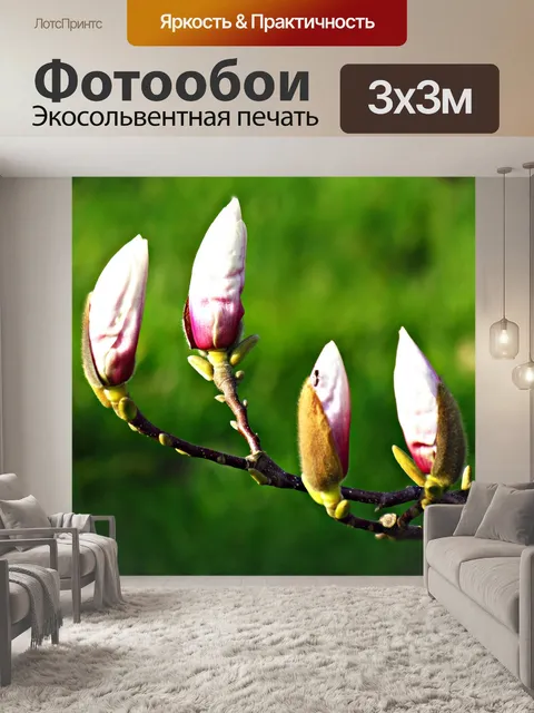 Фотообои Бутоны