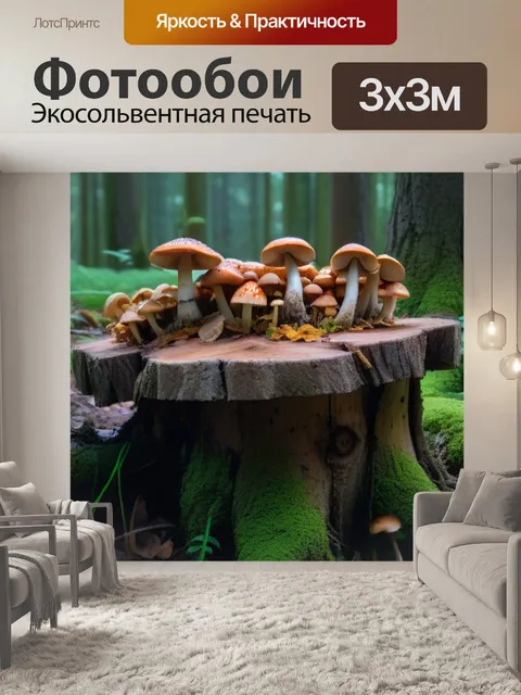 Фотообои пень с грибами в лесу