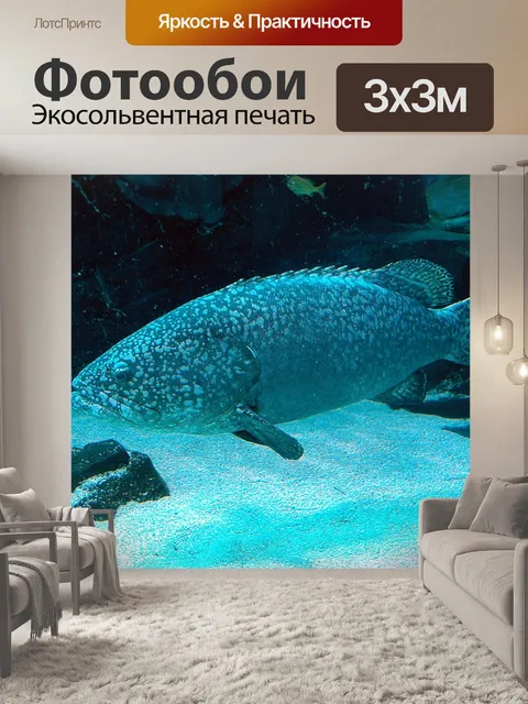 Фотообои Большой Морской окунь