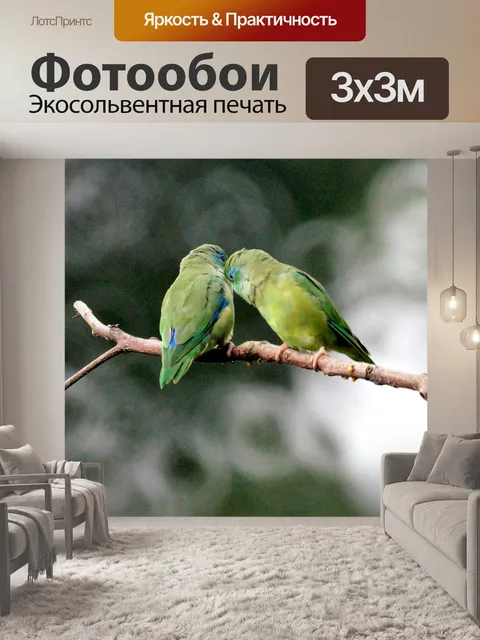 Фотообои Птицы