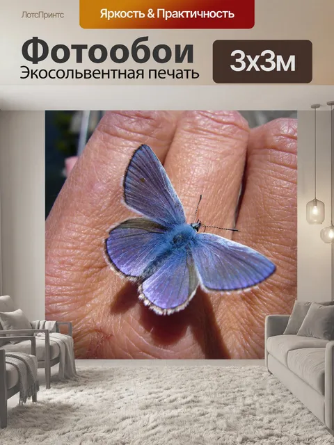 Фотообои Бабочка