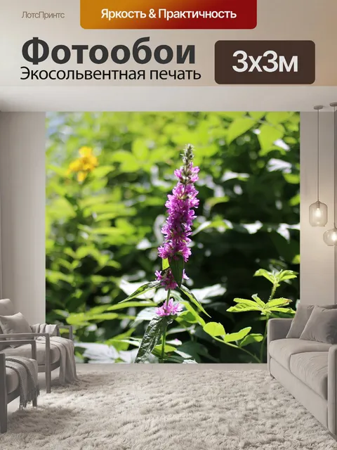 Фотообои Мокрый снег