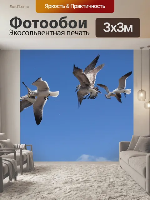 Фотообои Птицы