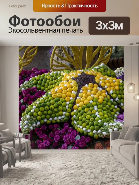 Фотообои морская звезда