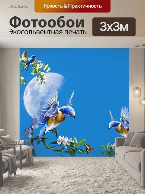 Фотообои Колибри