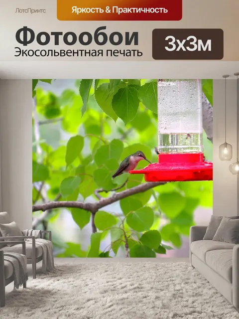 Фотообои Птица