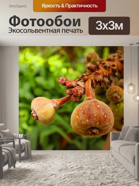 Фотообои Еда