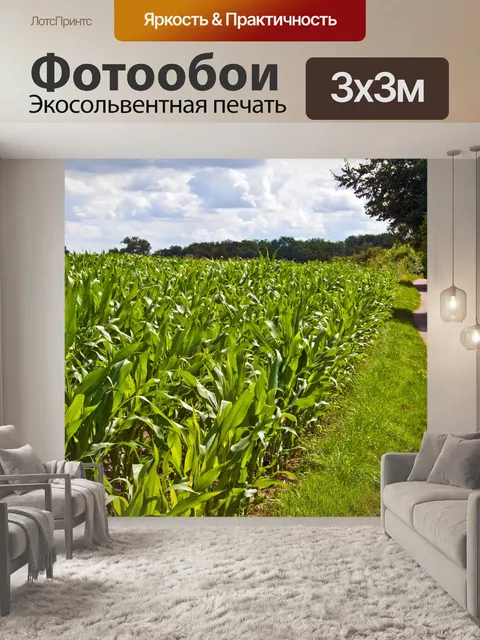Фотообои Поле