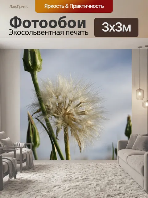 Фотообои Одуванчик