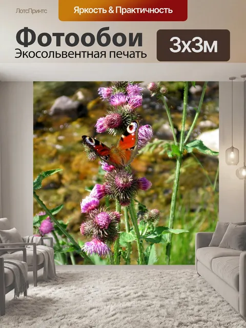 Фотообои Бабочка