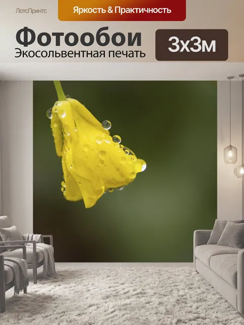 Фотообои Натюрморт