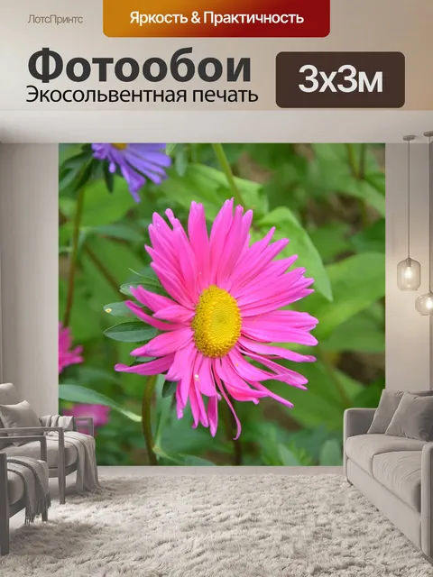 Фотообои Цветы
