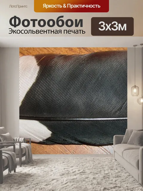 Фотообои Перо