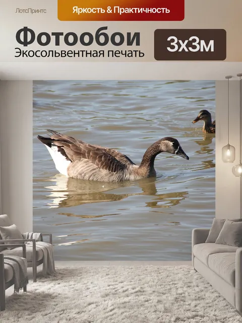 Фотообои Гуси