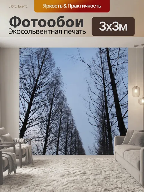 Фотообои Мескайр