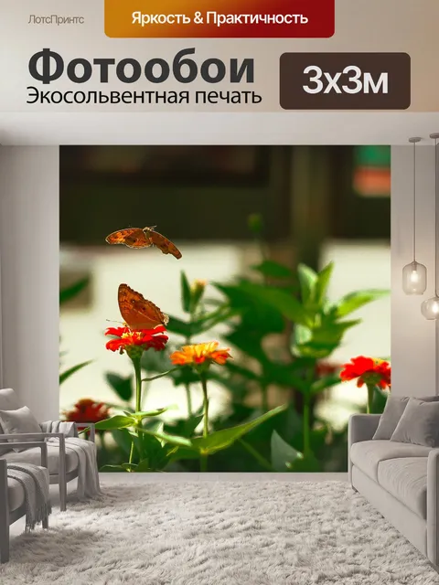 Фотообои Животное