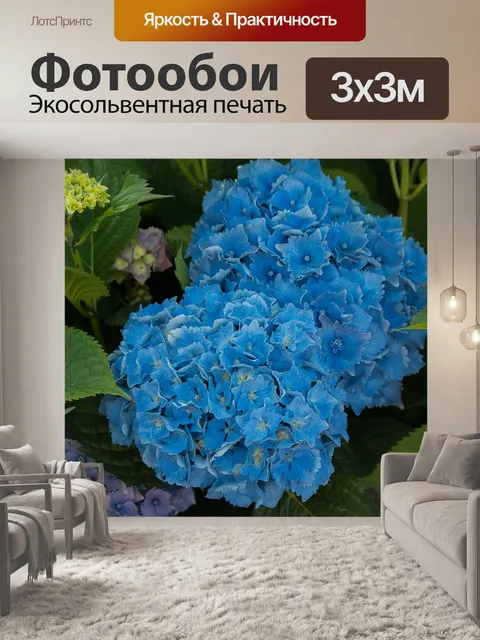 Фотообои Цветы
