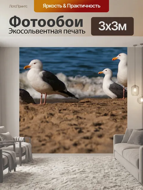 Фотообои Четыре чайки