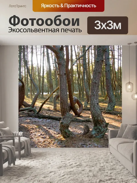 Фотообои Куршская коса