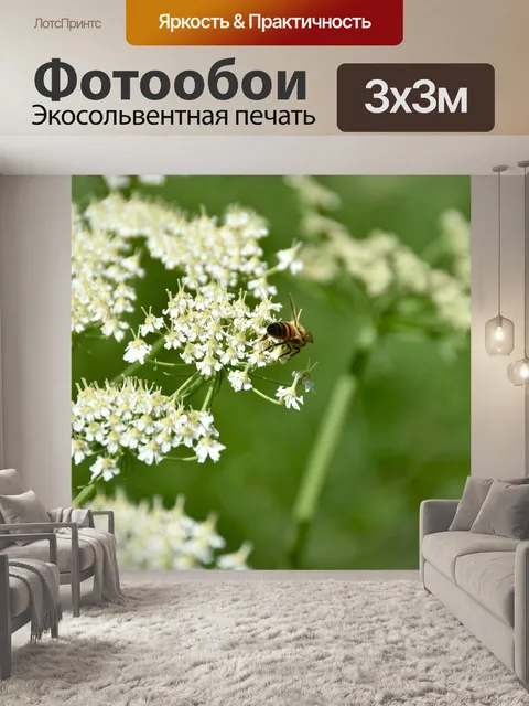 Фотообои Цветы