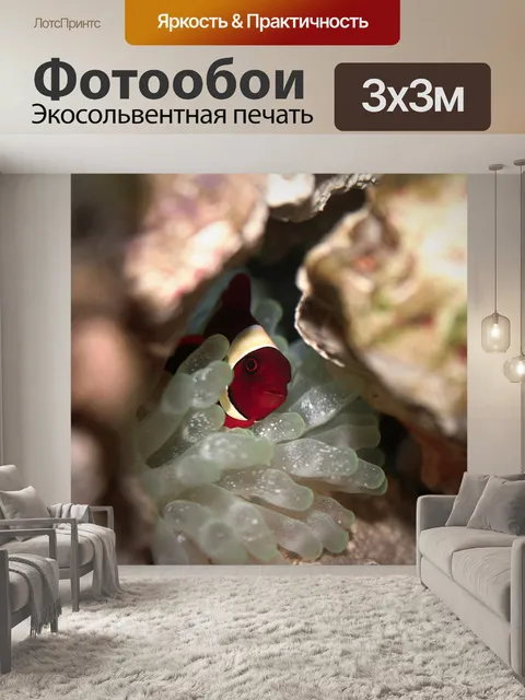 Фотообои Рыбы