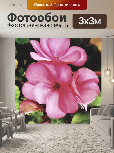 Фотообои Довольно розовые цветы
