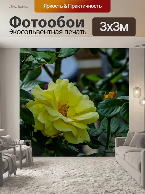 Фотообои Роза