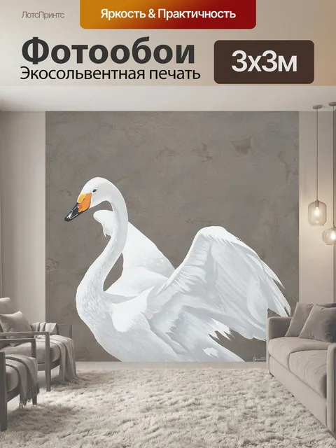 Фотообои Лебедь
