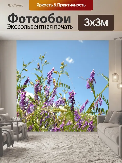 Фотообои Лаванда