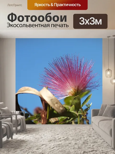Фотообои Цветы