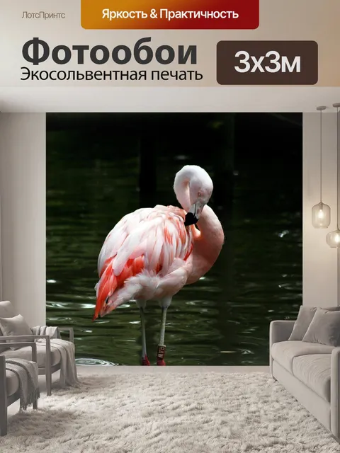 Фотообои Птица